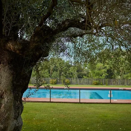 La Tartaruga Sabina Villa *